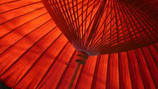 Verschillende soorten parasols waar jij uit kunt kiezen